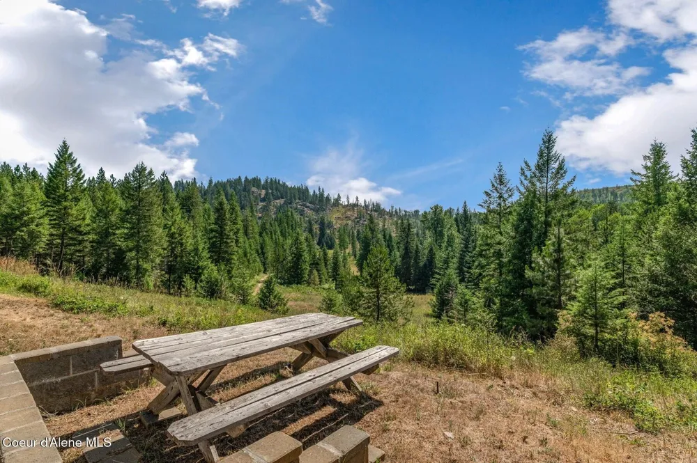 671 Kelso Woods Drive Athol, ID 83801