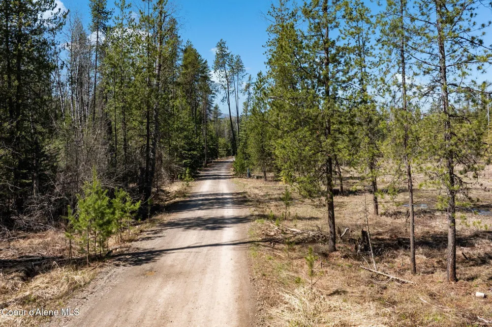 816 Ponderesa Ranch Rd - 44 Acres Sagle, ID 83860