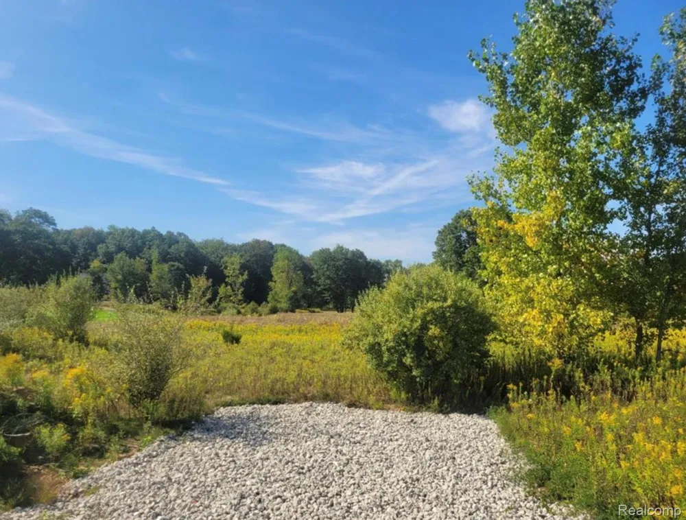 3681 Outback Trail Putnam Township, MI 48169