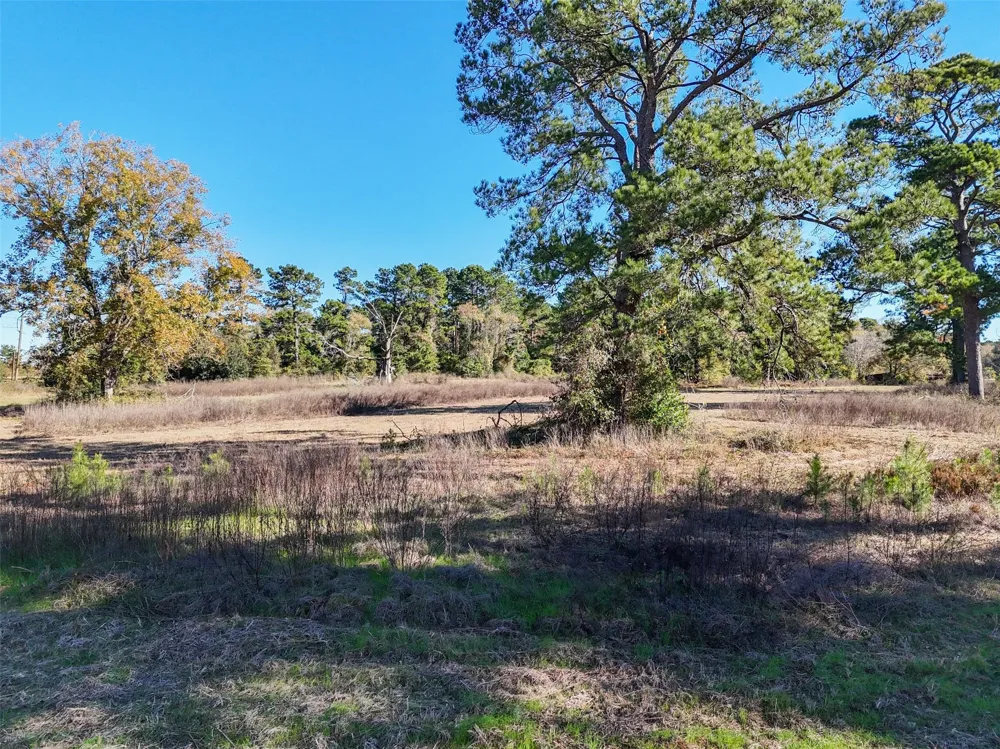 15633 1st Street Splendora, TX 77372