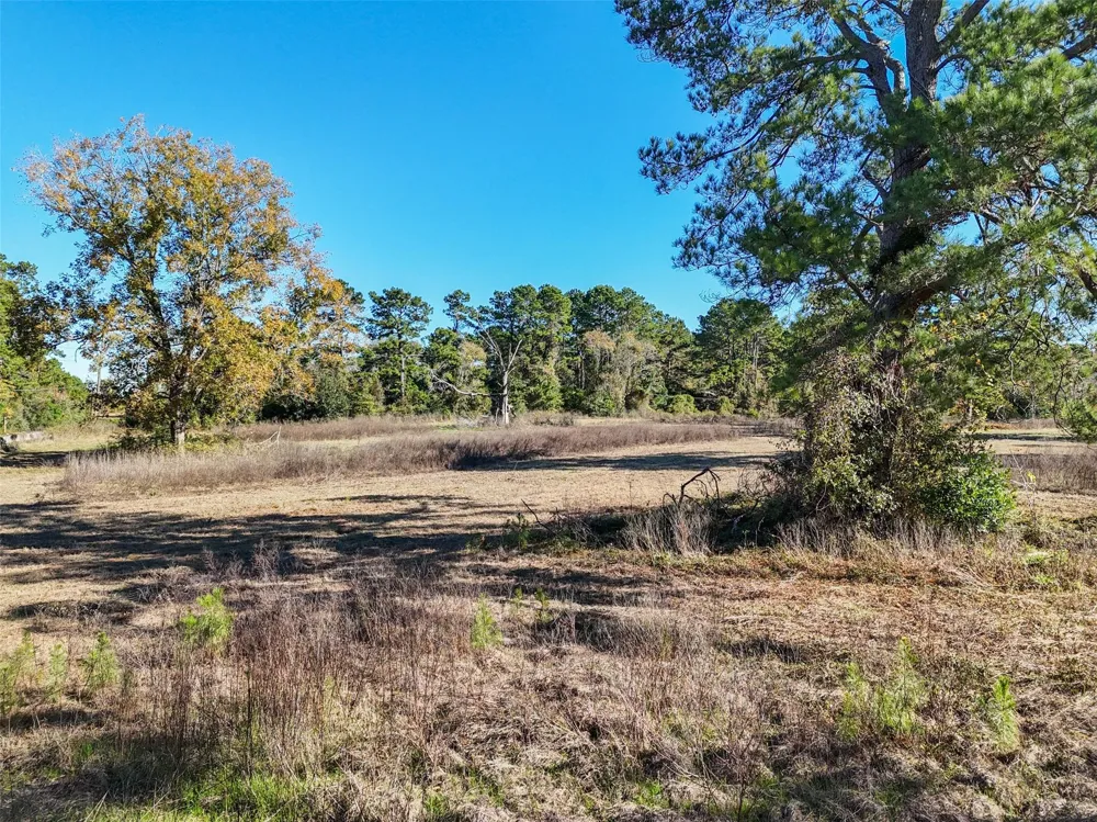 15633 1st Street Splendora, TX 77372
