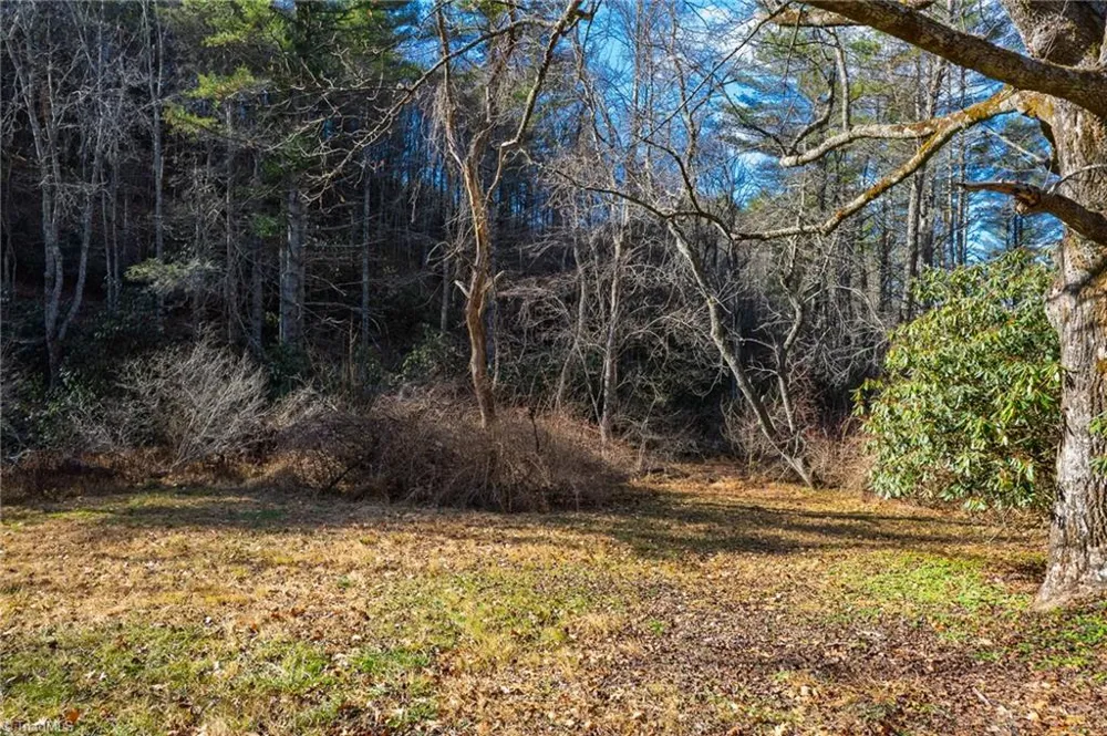 339 Stillhouse Branch Road Laurel Springs, NC 28644