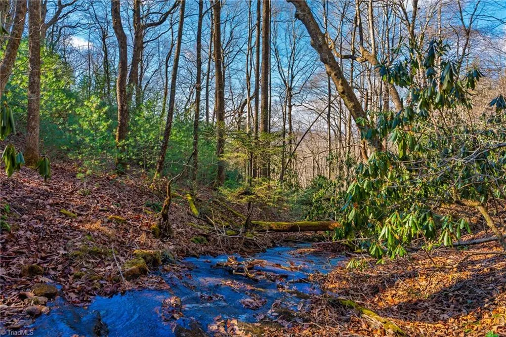 339 Stillhouse Branch Road Laurel Springs, NC 28644