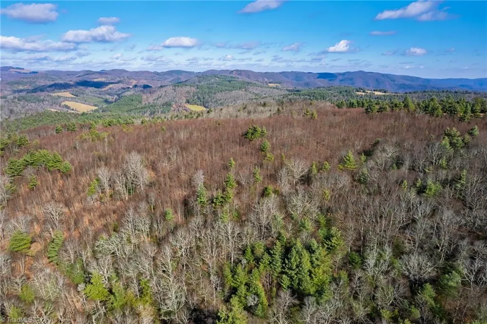 339 Stillhouse Branch Road Laurel Springs, NC 28644