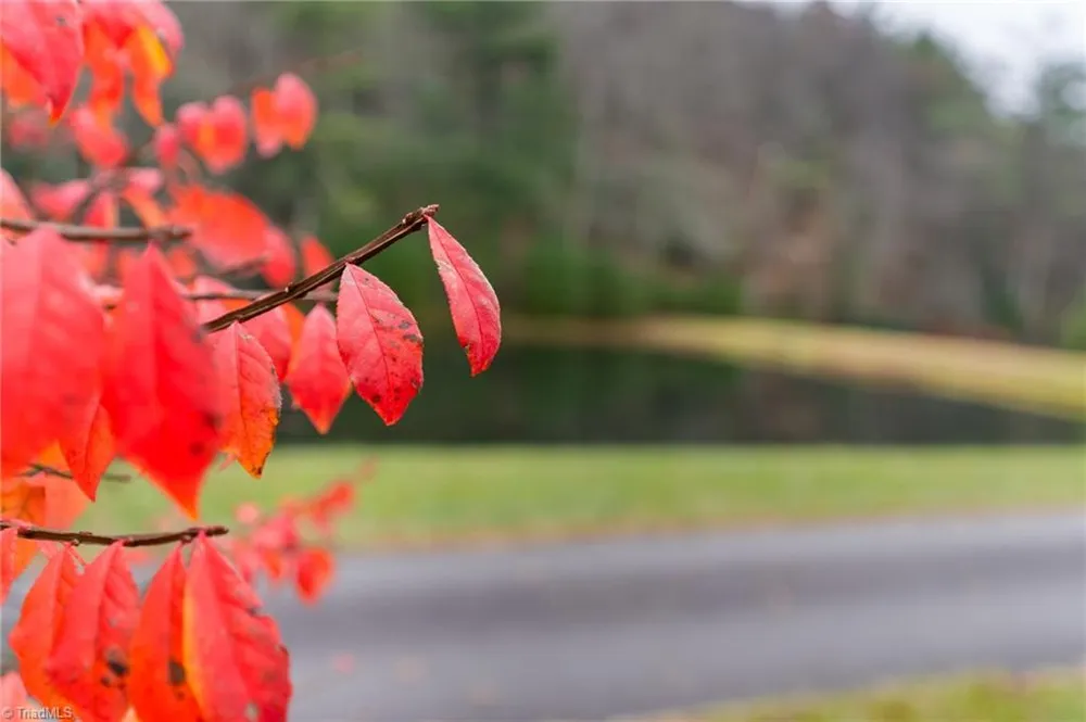 339 Stillhouse Branch Road Laurel Springs, NC 28644