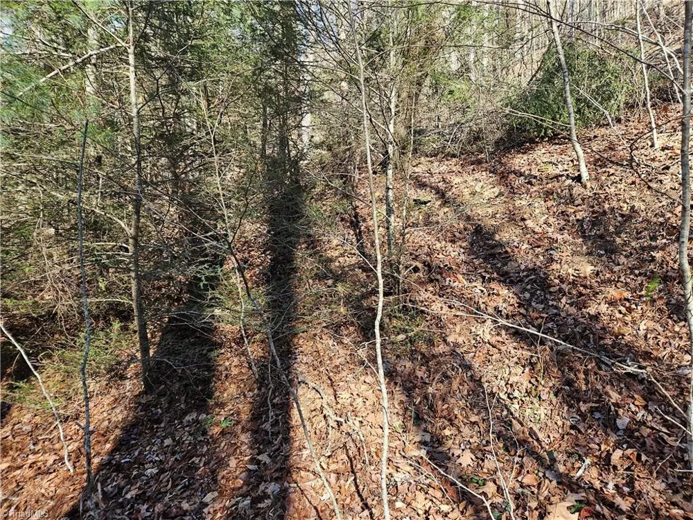 339 Stillhouse Branch Road Laurel Springs, NC 28644