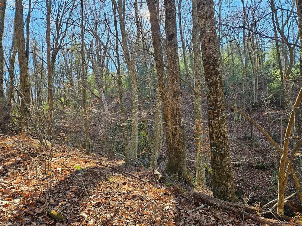 339 Stillhouse Branch Road Laurel Springs, NC 28644