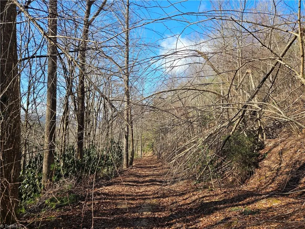339 Stillhouse Branch Road Laurel Springs, NC 28644