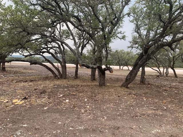 14 Seven Springs Drive Junction, TX 76849