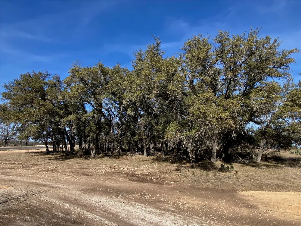 101 Fayt Court Georgetown, TX 78628