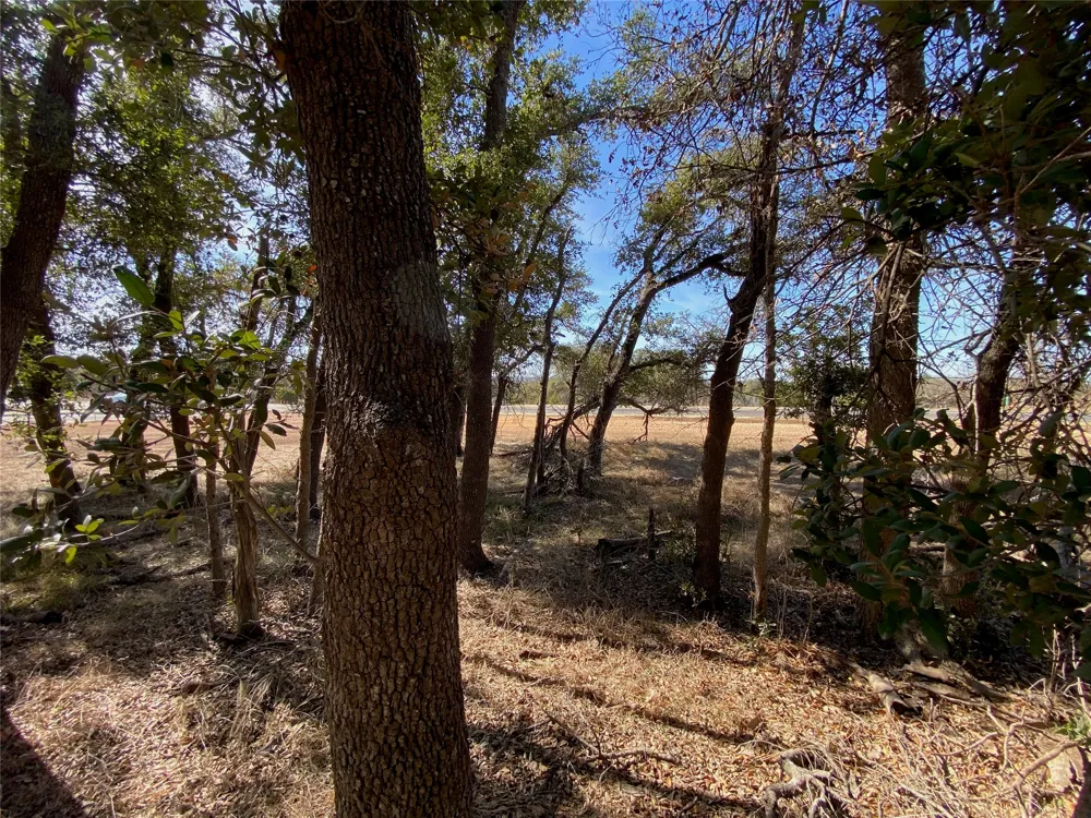 101 Fayt Court Georgetown, TX 78628