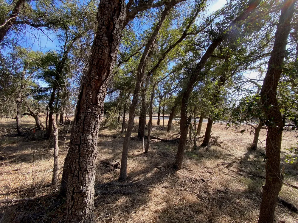 101 Fayt Court Georgetown, TX 78628