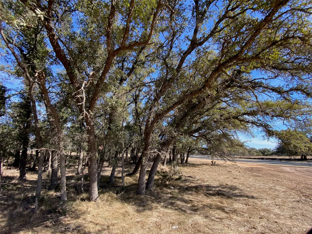 101 Fayt Court Georgetown, TX 78628