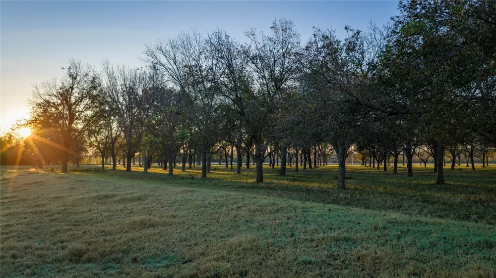 8323 E State Highway 29 Georgetown, TX 78626