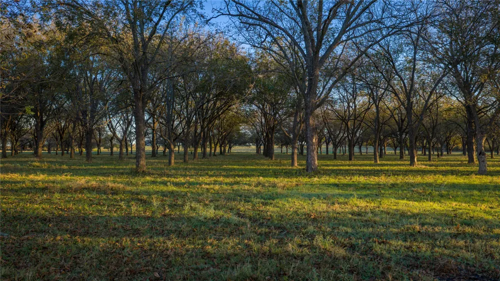 8323 E State Highway 29 Georgetown, TX 78626