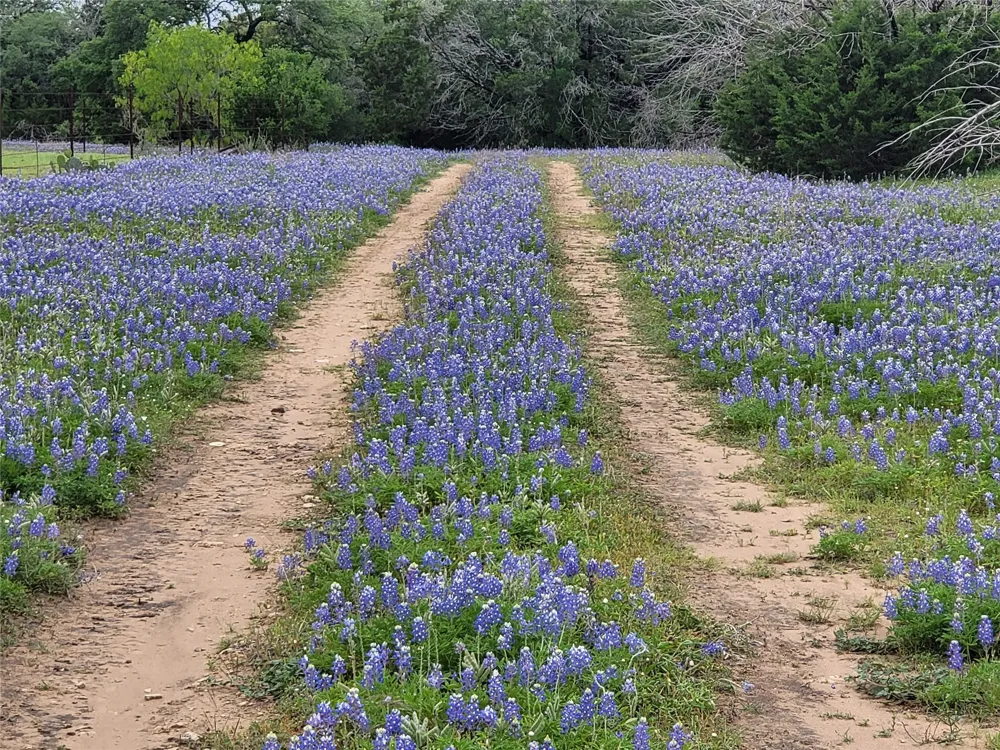 9939 County Road 404 Spicewood, TX 78669