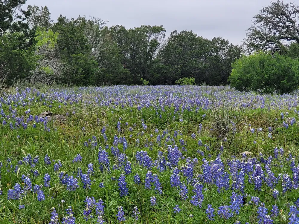 9939 County Road 404 Spicewood, TX 78669