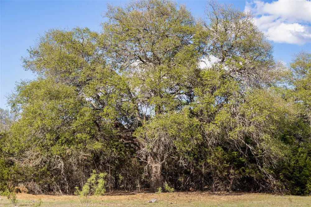 9939 County Road 404 Spicewood, TX 78669