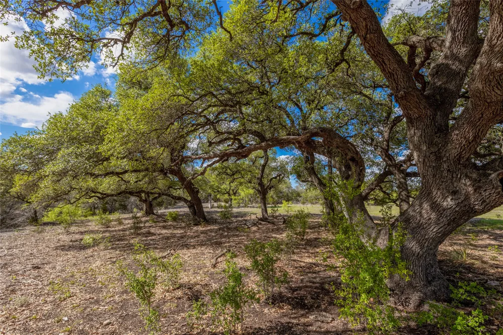 9939 County Road 404 Spicewood, TX 78669