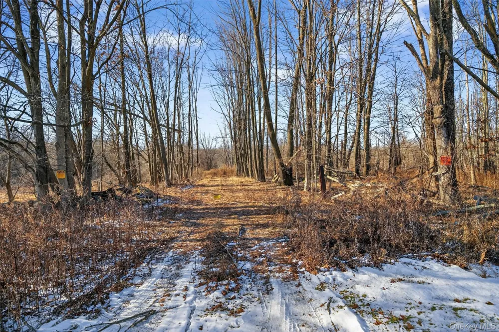 TBD Eatontown Road Greenville, NY 10940