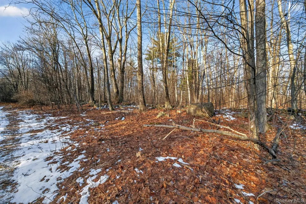 TBD Eatontown Road Greenville, NY 10940