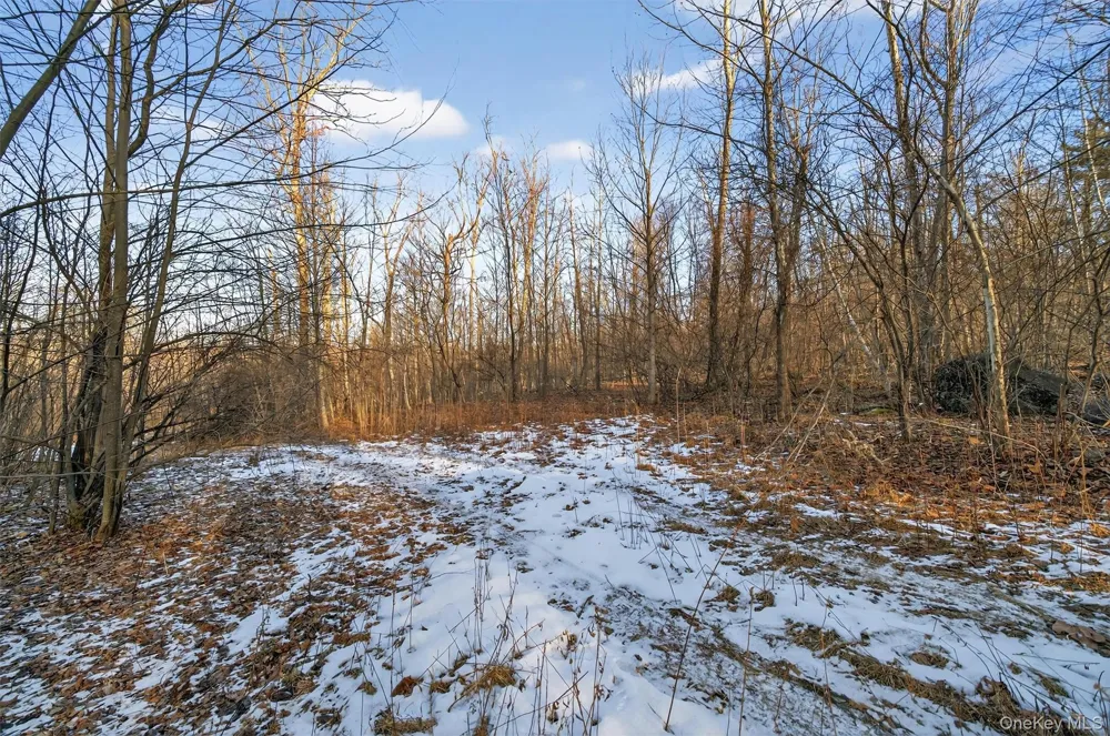 TBD Eatontown Road Greenville, NY 10940