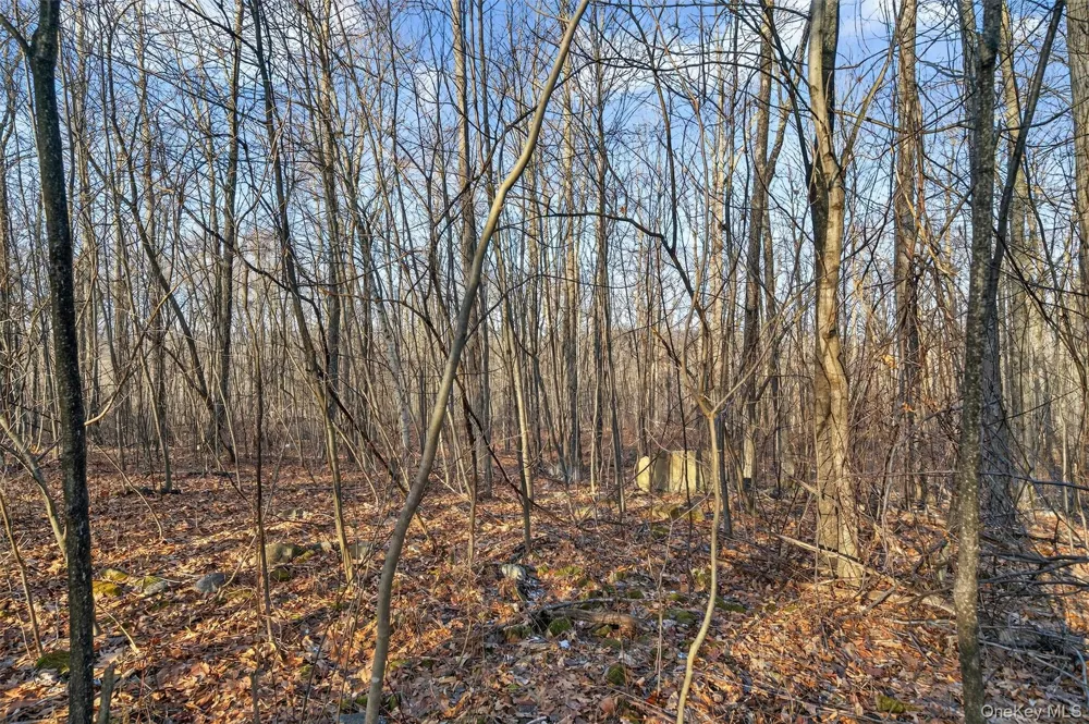 TBD Eatontown Road Greenville, NY 10940