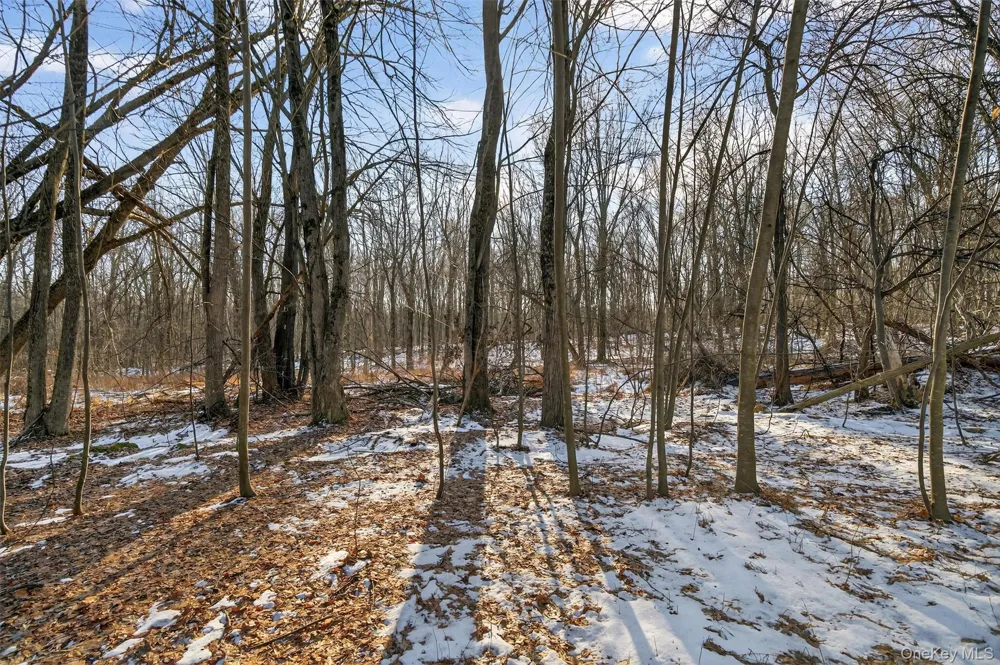 TBD Eatontown Road Greenville, NY 10940