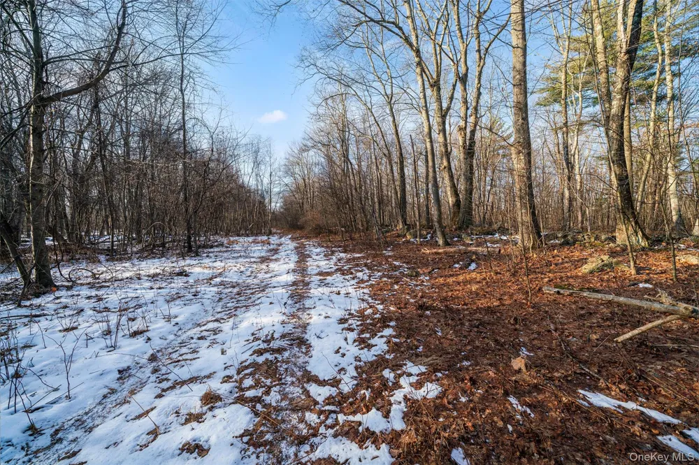 TBD Eatontown Road Greenville, NY 10940