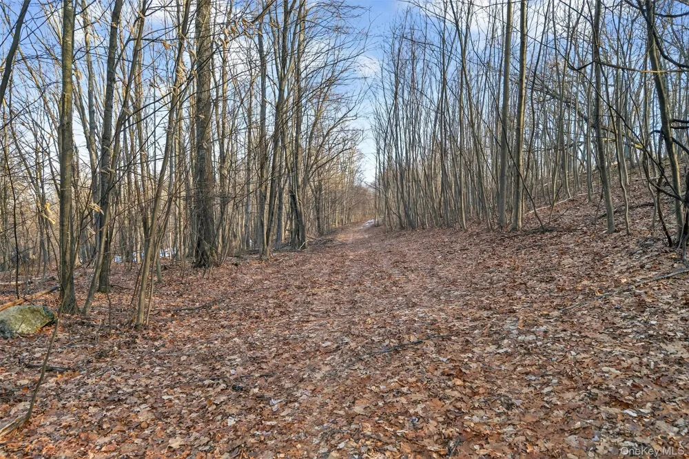 TBD Eatontown Road Greenville, NY 10940