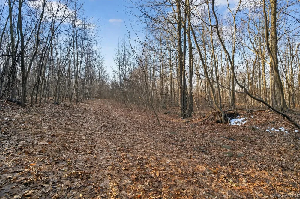 TBD Eatontown Road Greenville, NY 10940
