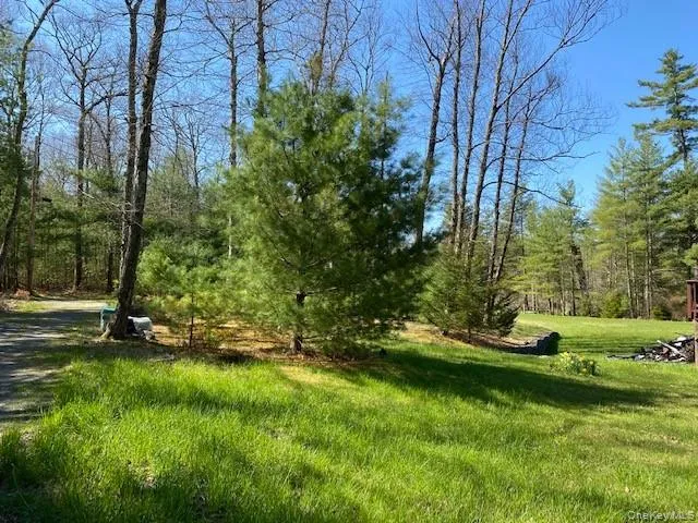 592 Proctor Road Glen Spey, NY 12737