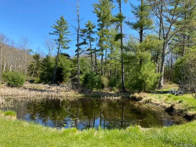 592 Proctor Road Glen Spey, NY 12737