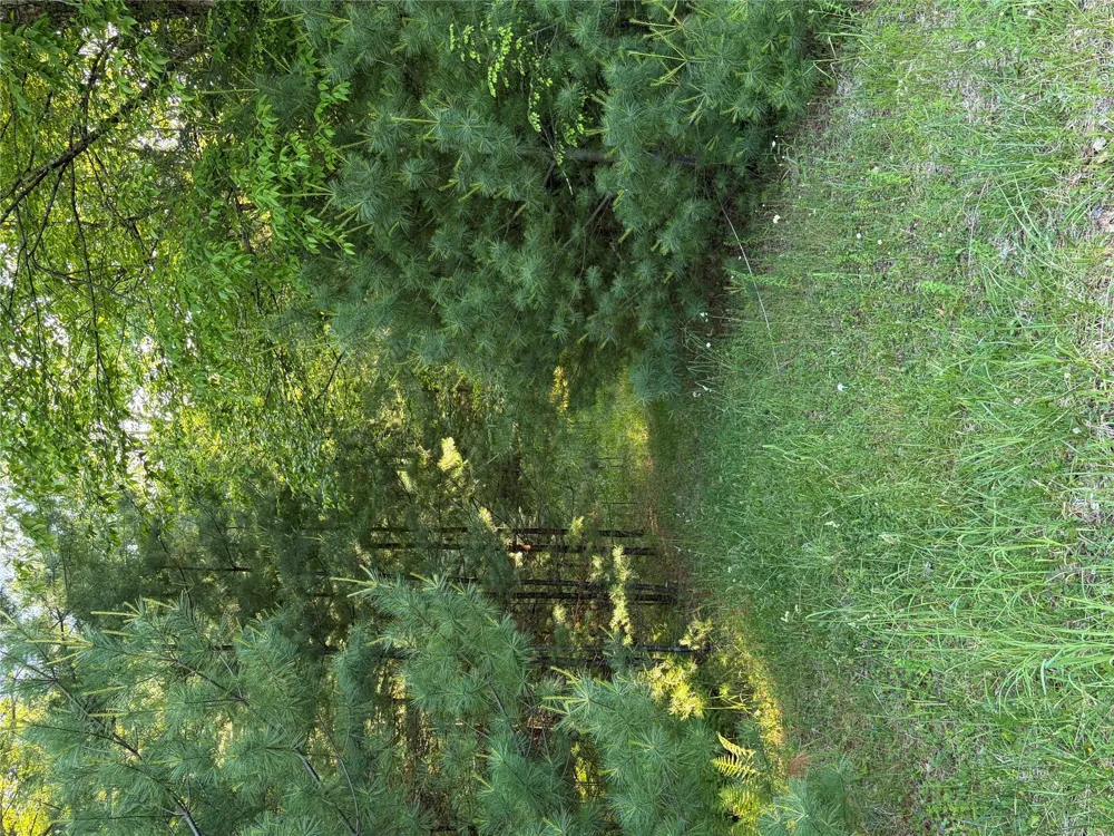 00 Moscoe Road Bethel, NY 12720