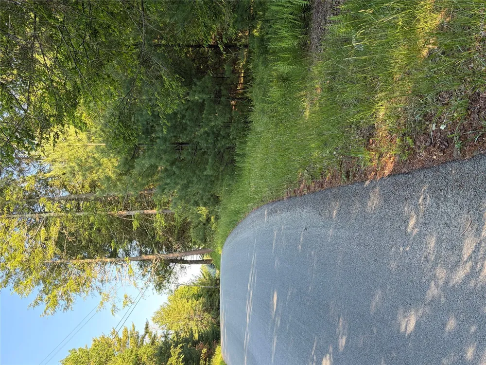 00 Moscoe Road Bethel, NY 12720