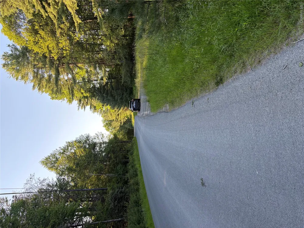 00 Moscoe Road Bethel, NY 12720