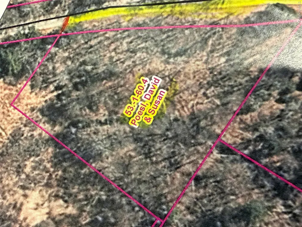 00 Moscoe Road Bethel, NY 12720