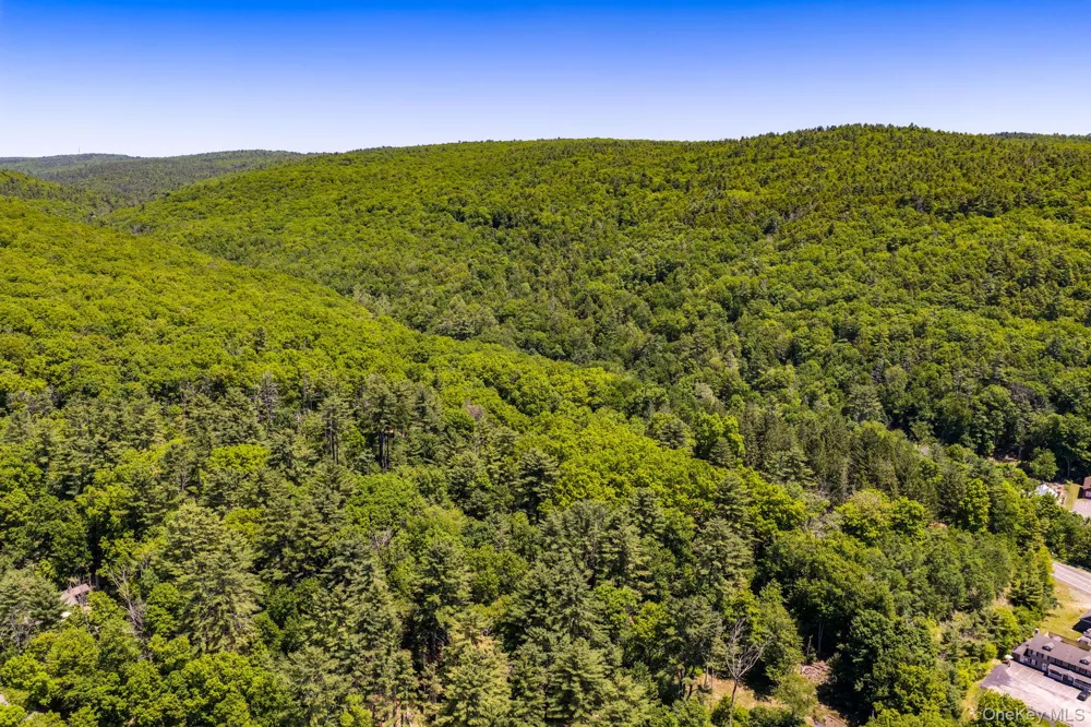 Lot  11.1 State Route 55 and Mail Road Barryville, NY 12719