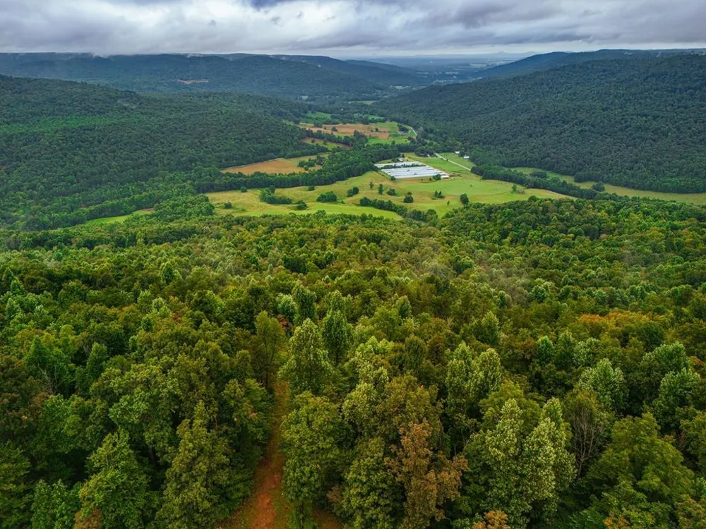 0 Bear Knob Ln Crawford, TN 38554