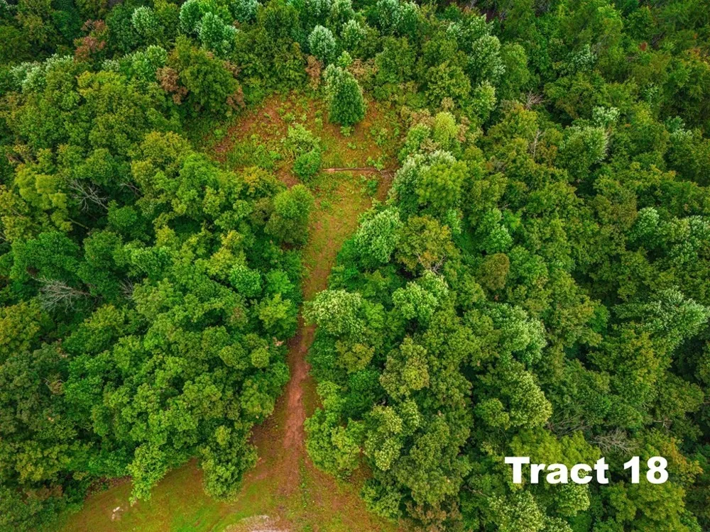0 Bear Knob Ln Crawford, TN 38554