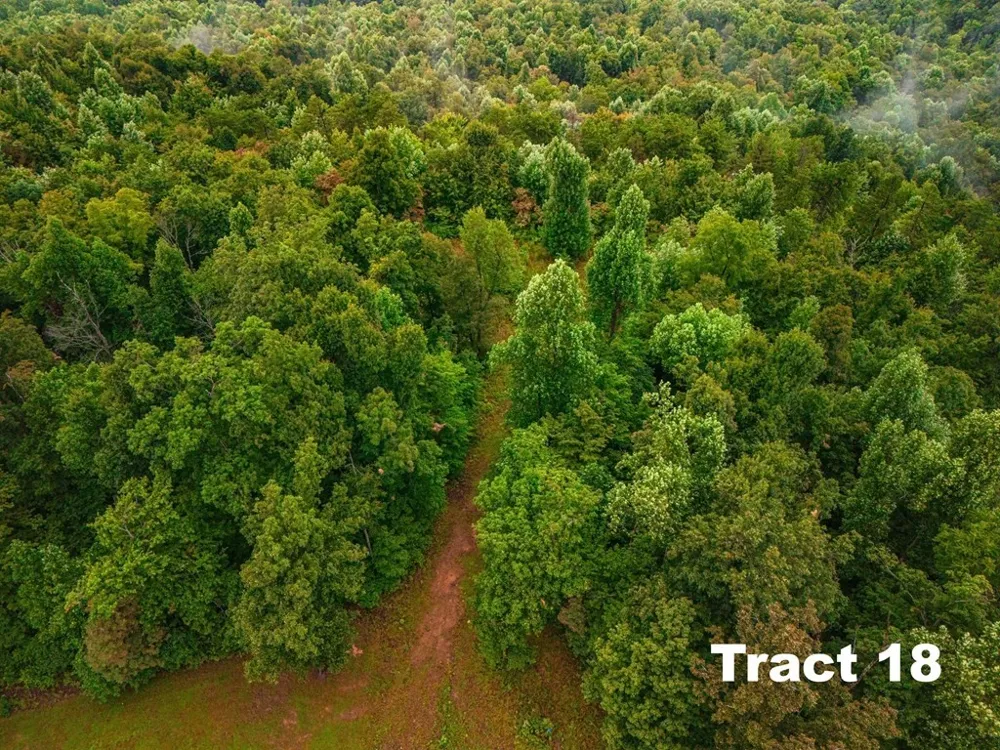 0 Bear Knob Ln Crawford, TN 38554