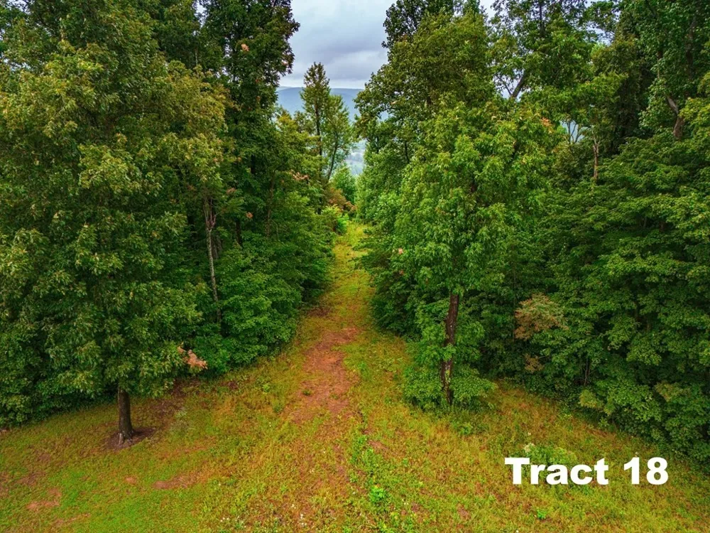 0 Bear Knob Ln Crawford, TN 38554