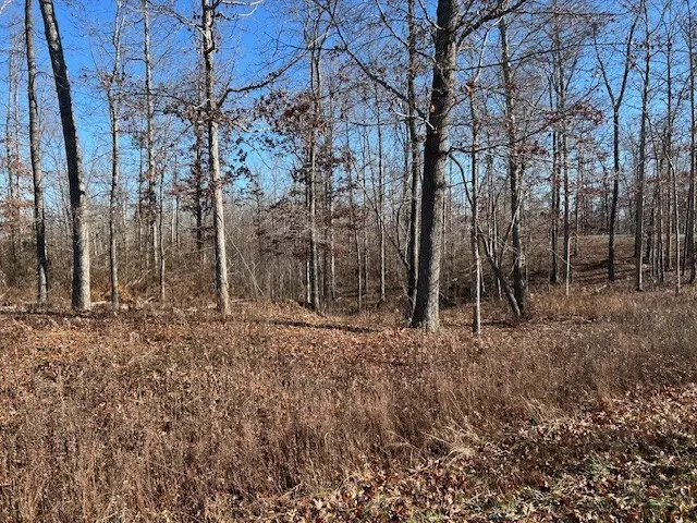 3 Slaughter Rd Primm Springs, TN 38476