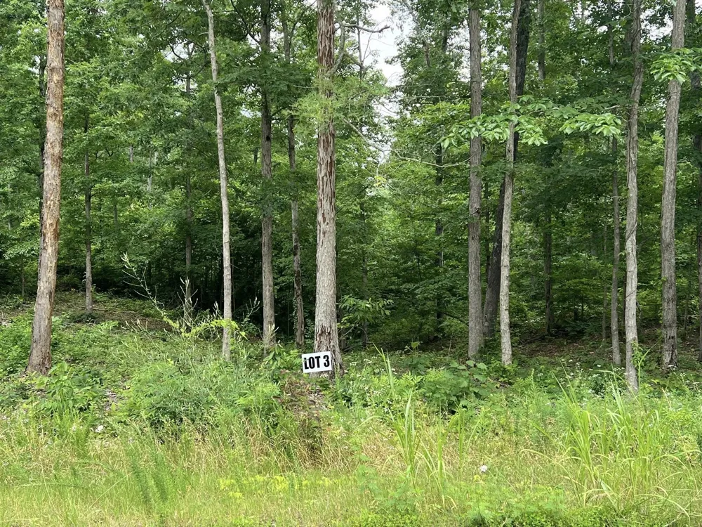 3 Slaughter Rd Primm Springs, TN 38476