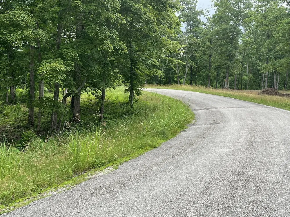3 Slaughter Rd Primm Springs, TN 38476