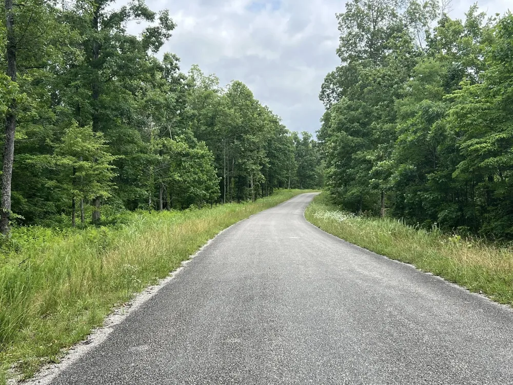3 Slaughter Rd Primm Springs, TN 38476