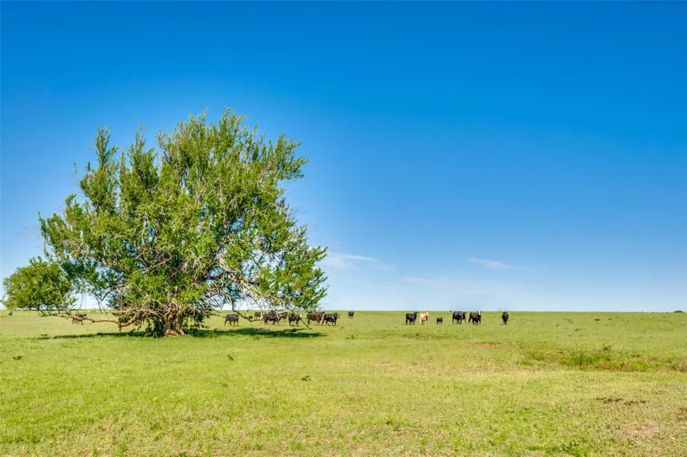 Hwy 377 Pilot Point, TX 76258