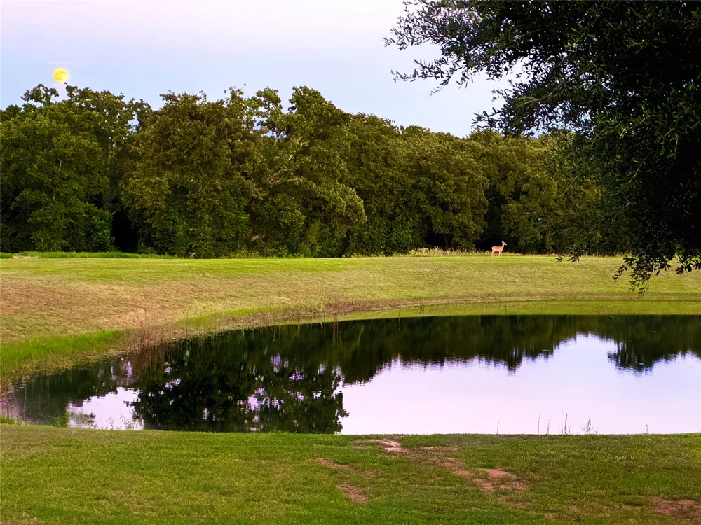 1561 Fm 934 Blum, TX 76627