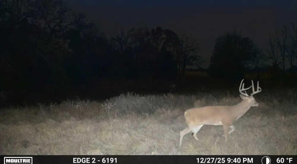 1561 Fm 934 Blum, TX 76627