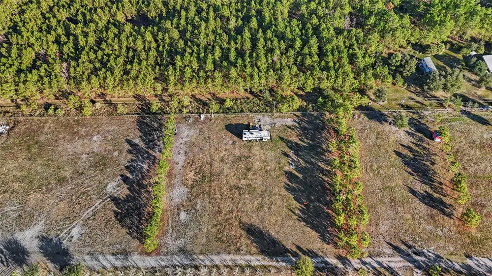 18121 BETHLEHEM ROAD Lithia, FL 33547